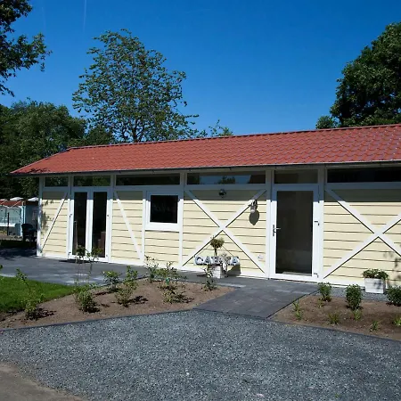 Holiday Droompark Bad Hoophuizen.38 Holiday home Hulshorst